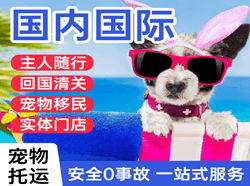 塔城千泉机场快运国际宠物托运 【国